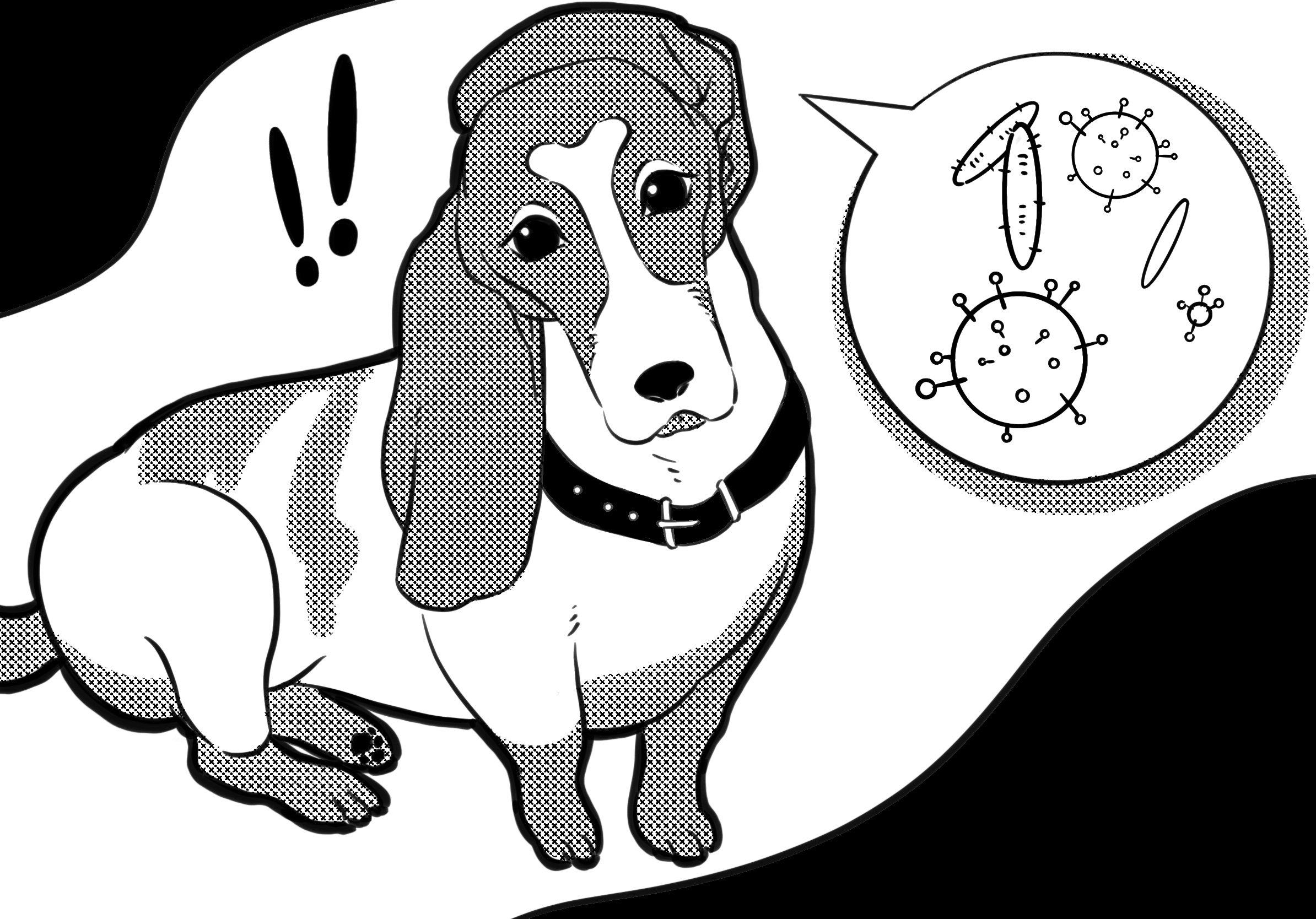 Dog Ear Wipes showing gems in the dog's ear